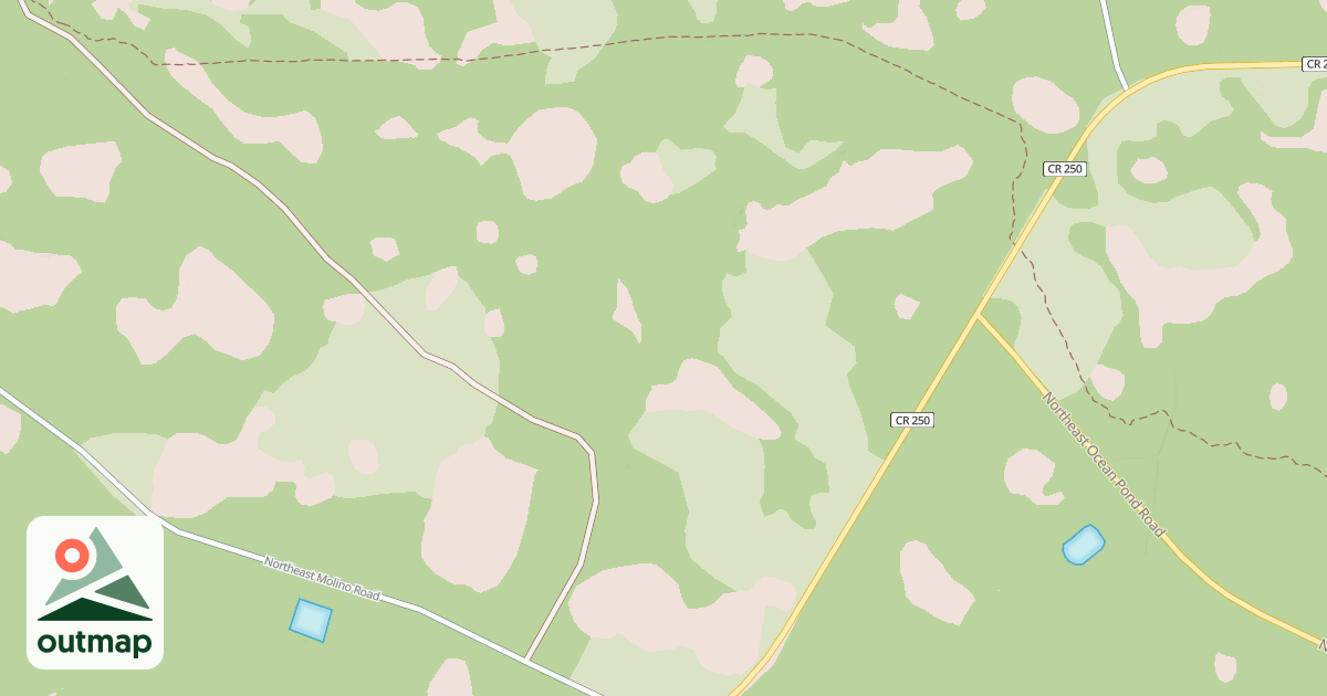 Map of USFS Motor Vehicle Use Map Roads {4125D653-F763-4F1A-B028-51BB95CBE4B9}