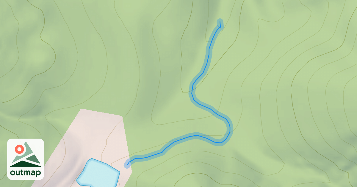 Map of Dark Forest
