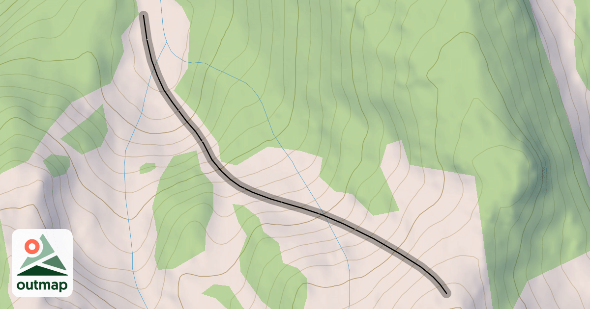 Map of Alley Bear