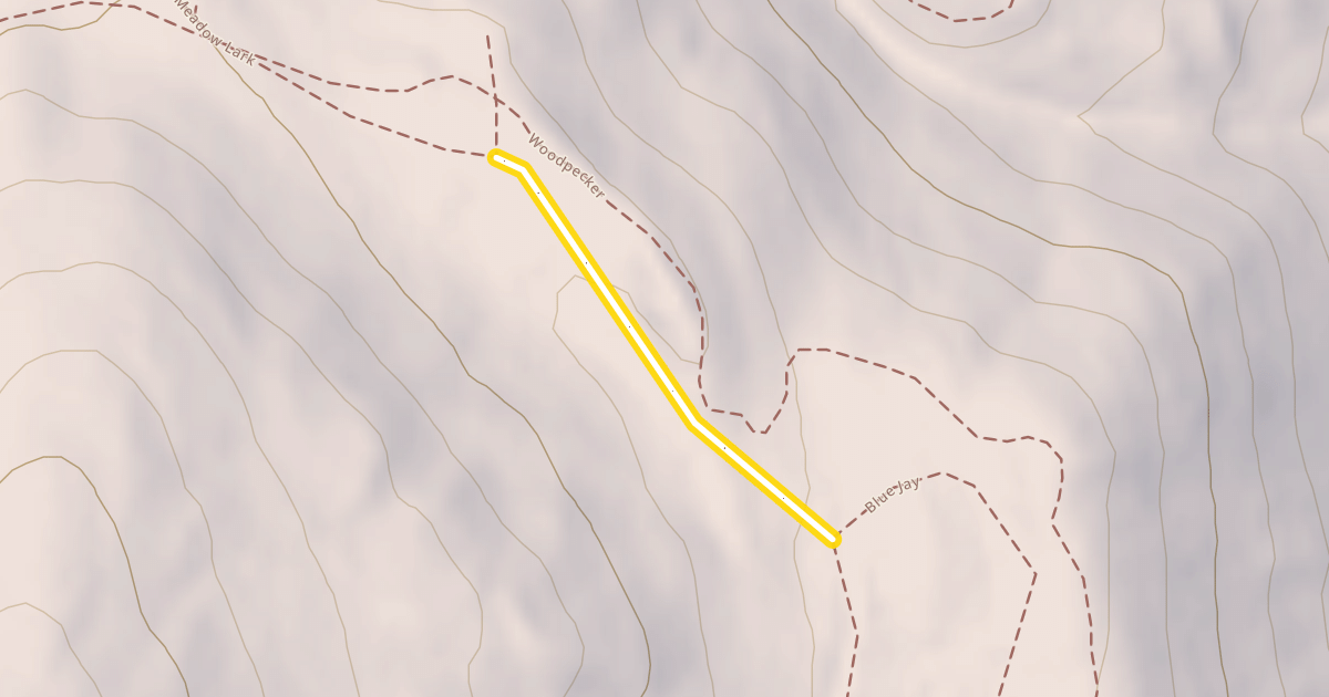 Map preview of Meadow Lark