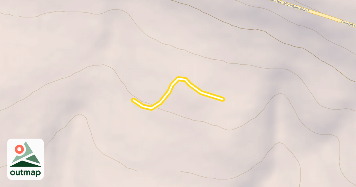 Map of Women's Wall
