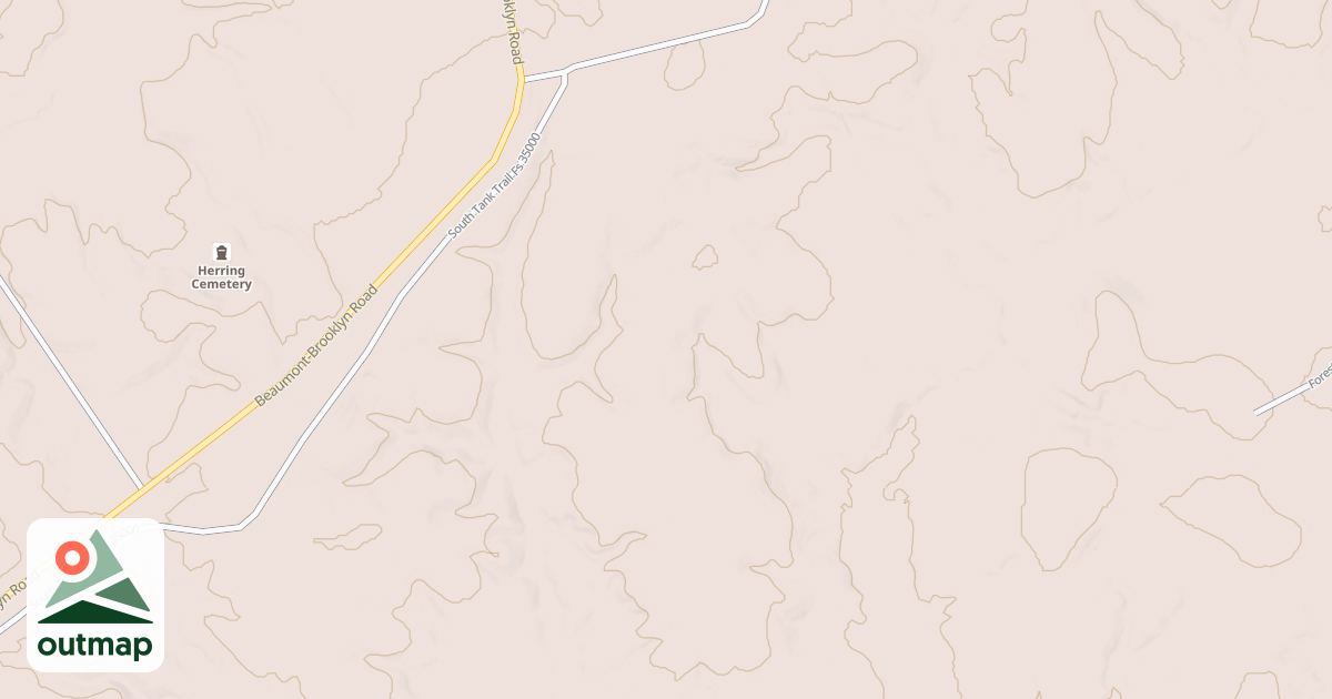 Map of USFS National Forest System Roads {36E68929-455B-47BA-9E9B-A8B7FD92598B}