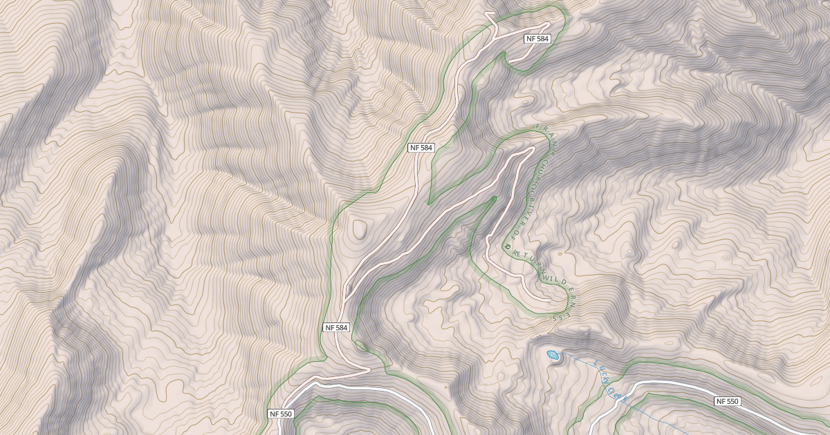 Map preview of COUGAR MINE ROAD