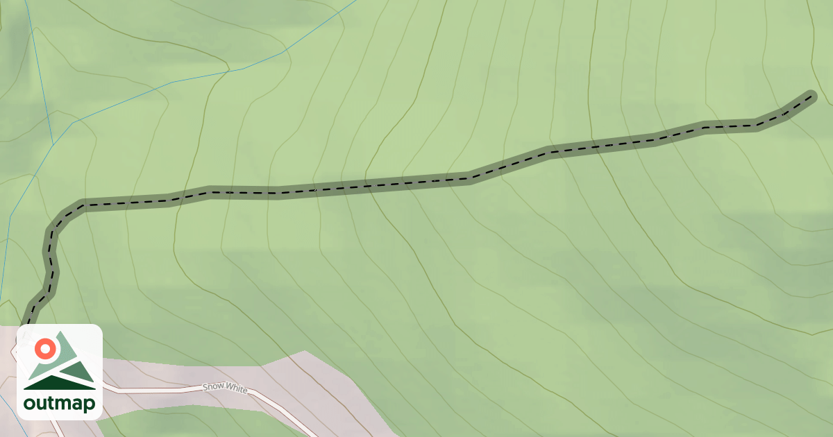 Map of Clear Cut