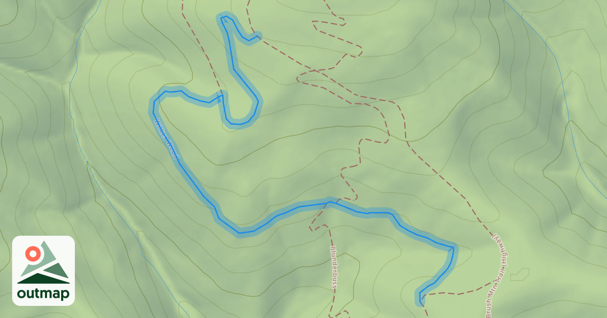 Map of Wilkes Wood