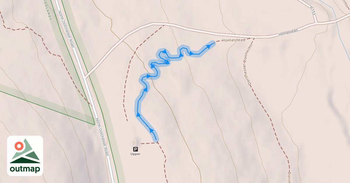 Map of Squiggles