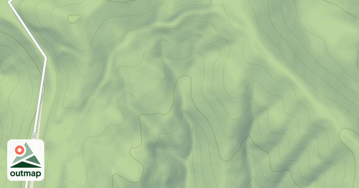 Map of BOSTON FERN