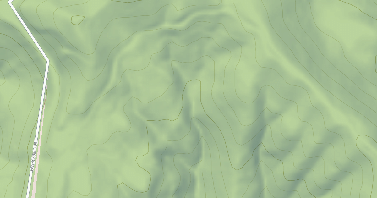 Map preview of BOSTON FERN