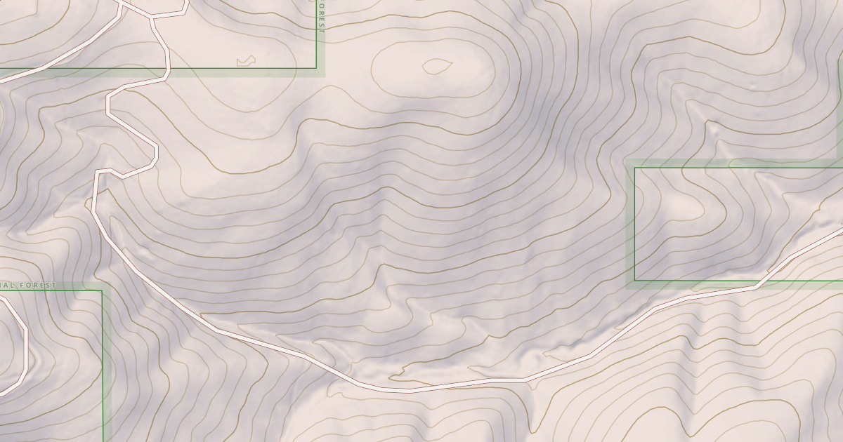 Map preview of USFS National Forest System Roads {9544C1A8-D37B-4935-9918-0A401D4457C0}