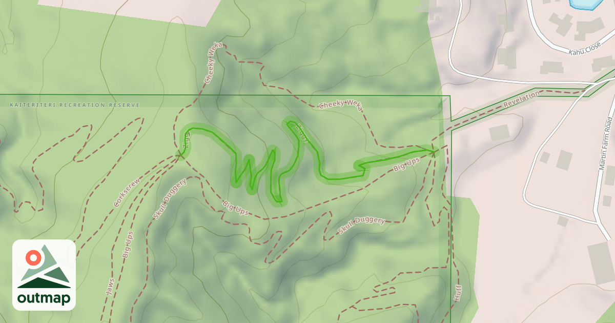 Map of Ziggy