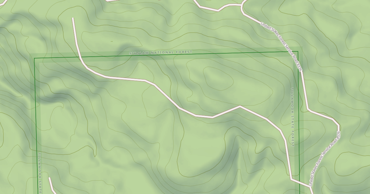 Map preview of USFS Motor Vehicle Use Map Roads {4BEEFFDC-4E64-4598-B150-173CA722A151}