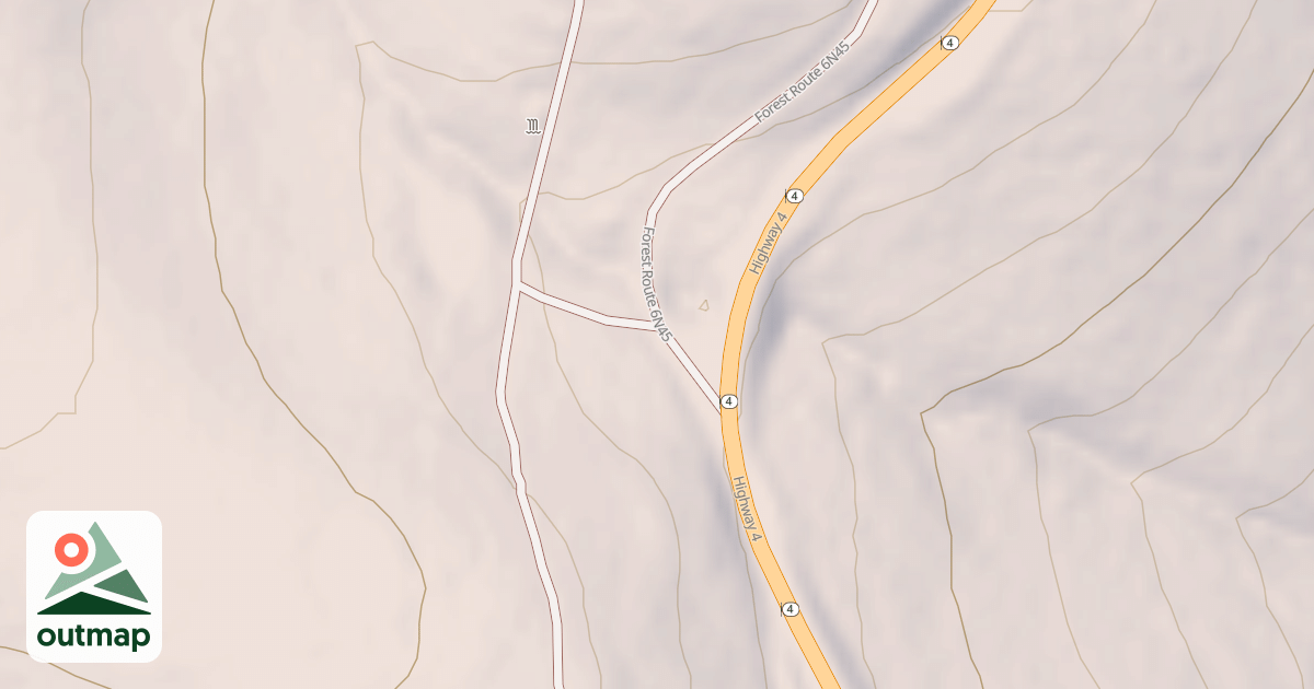 Map of USFS National Forest System Roads {77C27A64-DC99-4F50-90C1-671FFB82571E}
