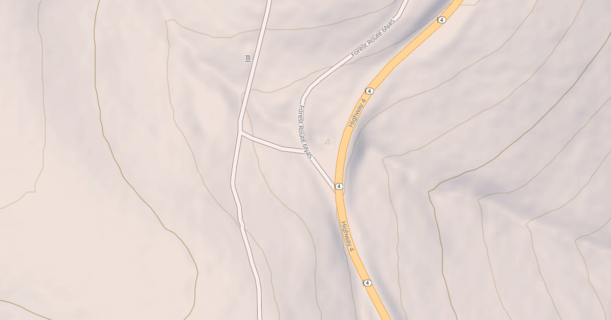 Map preview of USFS National Forest System Roads {77C27A64-DC99-4F50-90C1-671FFB82571E}