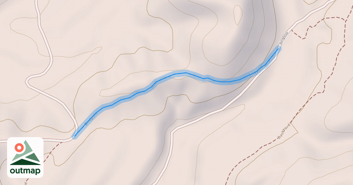 Map of Birdpole