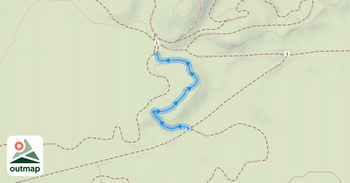 Map of Pines