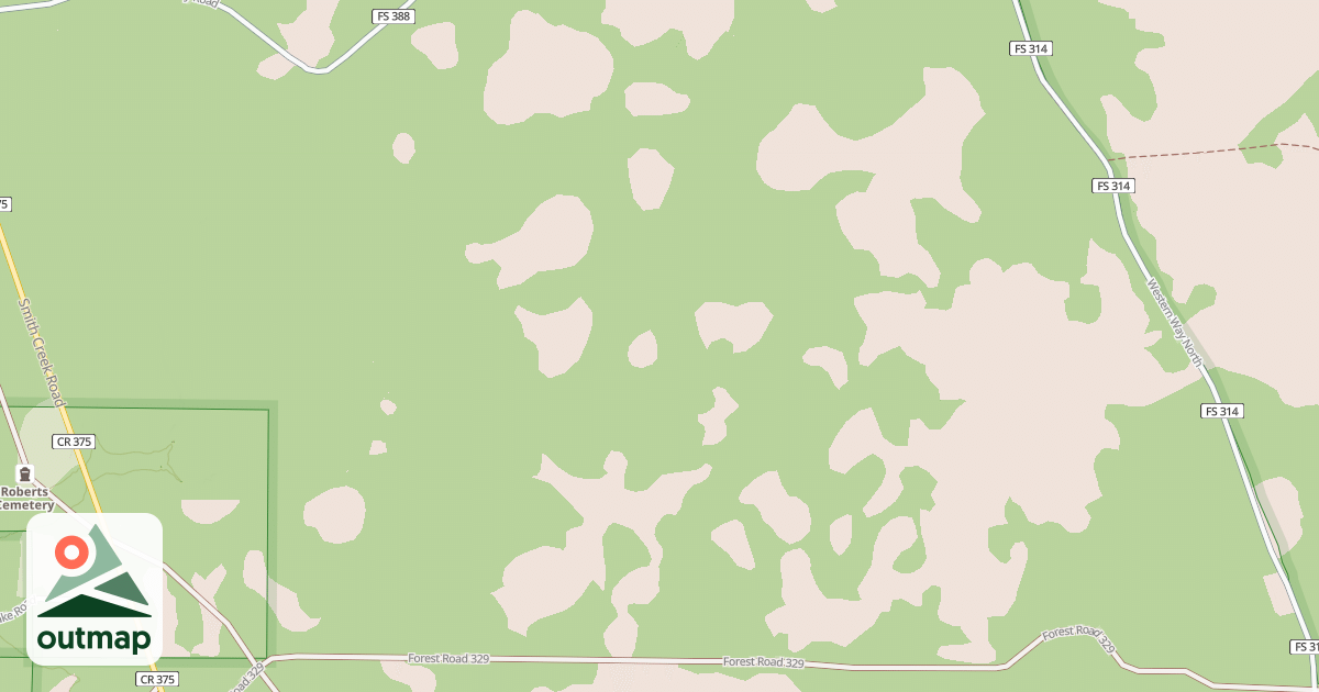 Map of USFS National Forest System Roads {75B30CB5-D13F-4D4F-8F0F-45A26A38E62E}