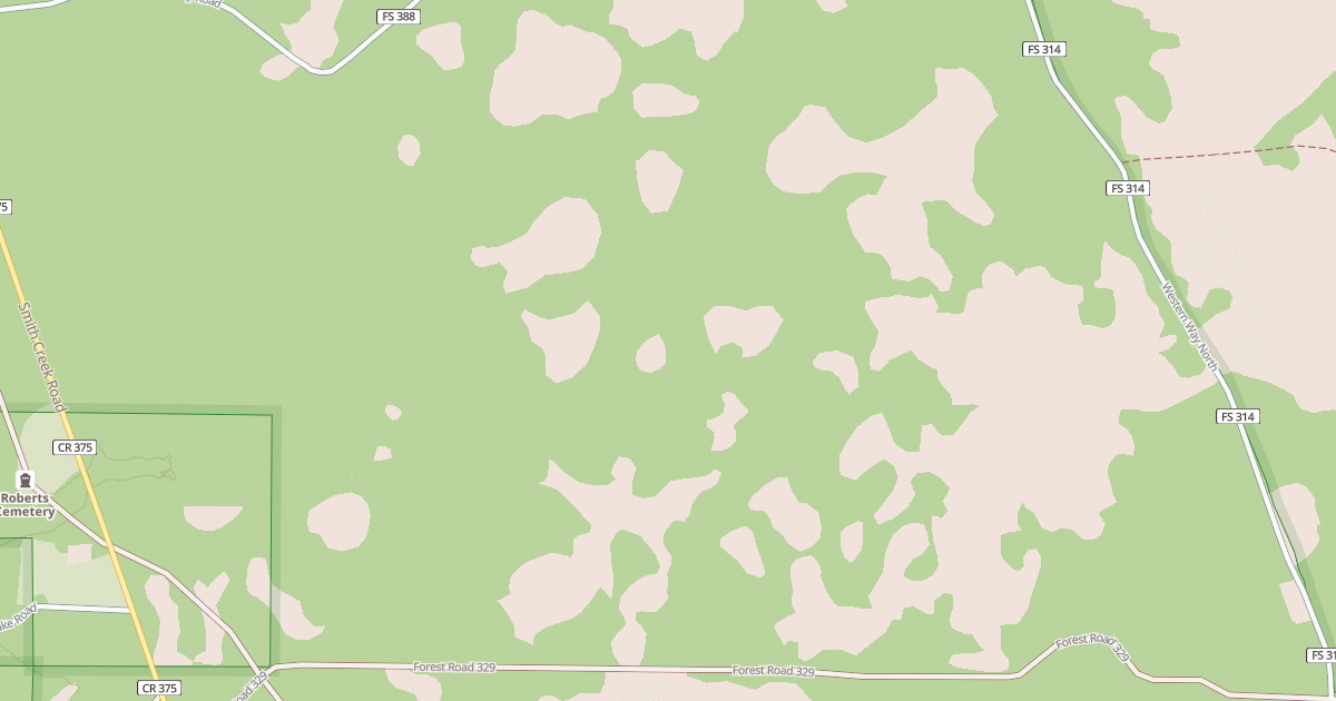 Map preview of USFS National Forest System Roads {75B30CB5-D13F-4D4F-8F0F-45A26A38E62E}