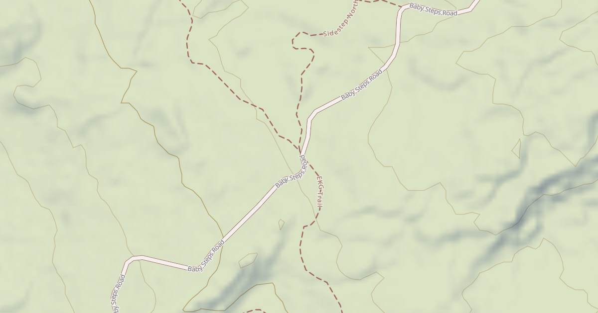 Map preview of BLM National GTLF Public Motorized Roads 30446466-6b31-4154-8d5c-519033c3f811