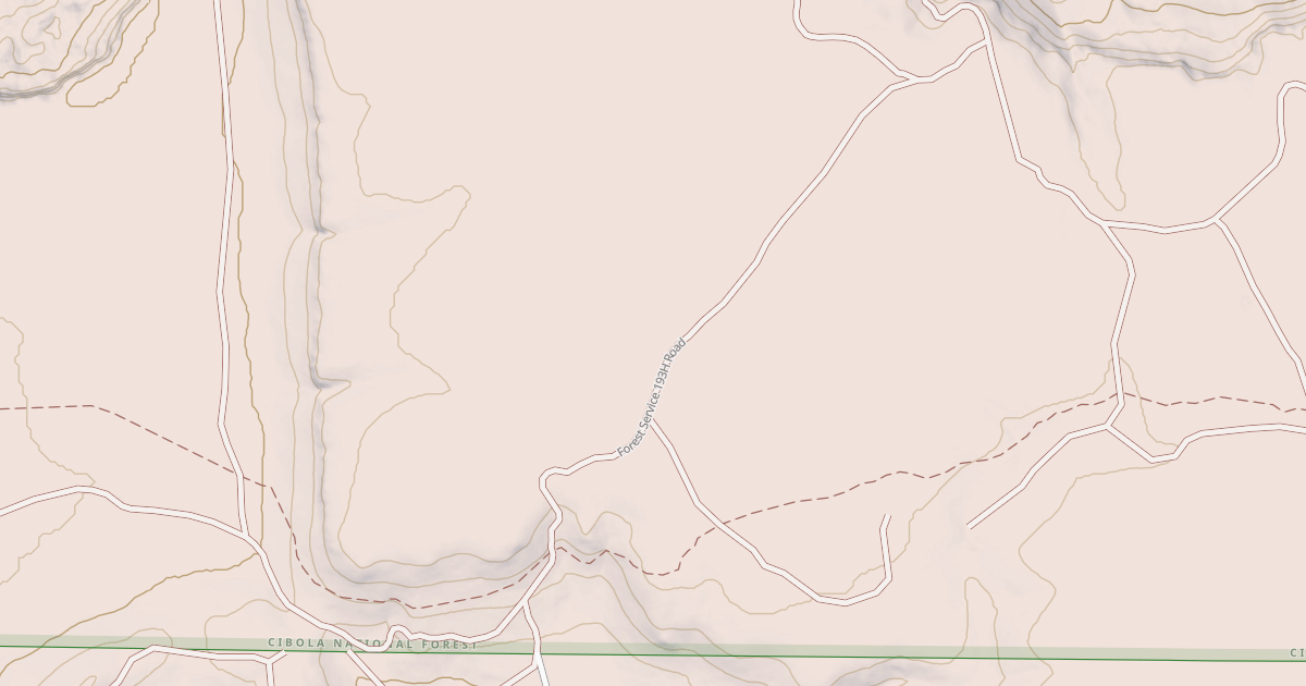 Map preview of USFS National Forest System Roads {299D0310-192B-4F14-AA7B-BEA63703B233}