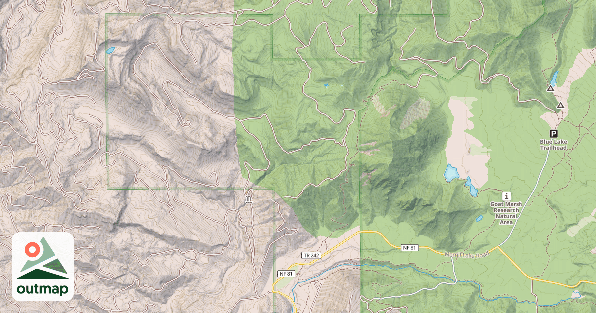 Map of USFS National Forest System Roads {017EA8F9-B0AC-4DBC-8750-150E5FA032A9}