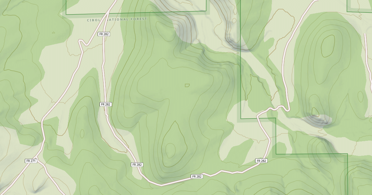 Map preview of USFS National Forest System Roads {2F8A3C2F-F89C-4A77-8041-52BE43B54E2C}
