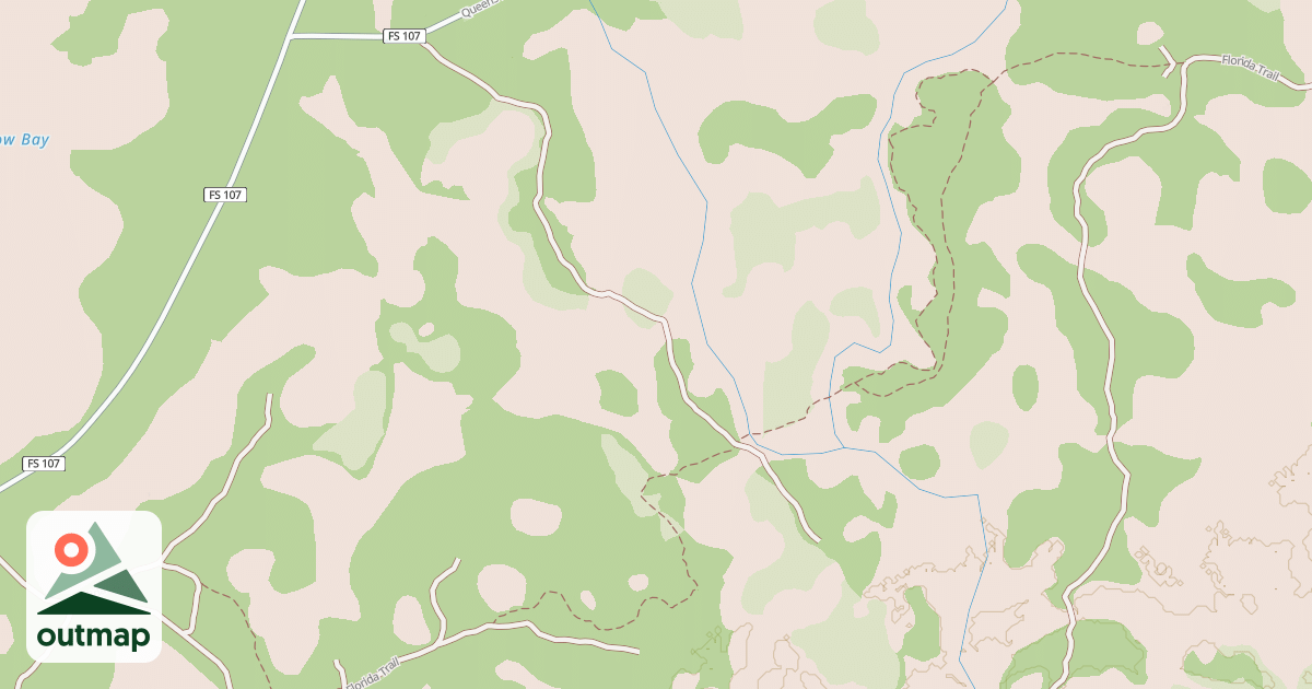 Map of USFS National Forest System Roads {BA4757C4-103B-463F-AD9D-D4ABC0FDB89F}
