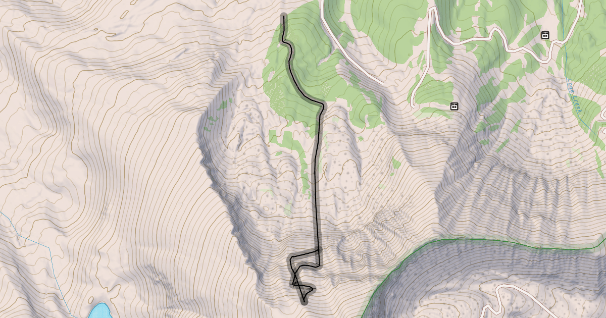 Map preview of Rips