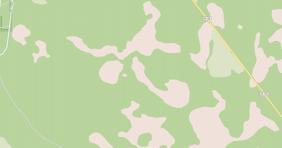 Map preview of USFS National Forest System Roads {318EA6A4-5F79-4D85-922B-3C8CDEE24036}