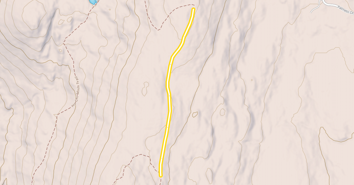 Map preview of Town Trail