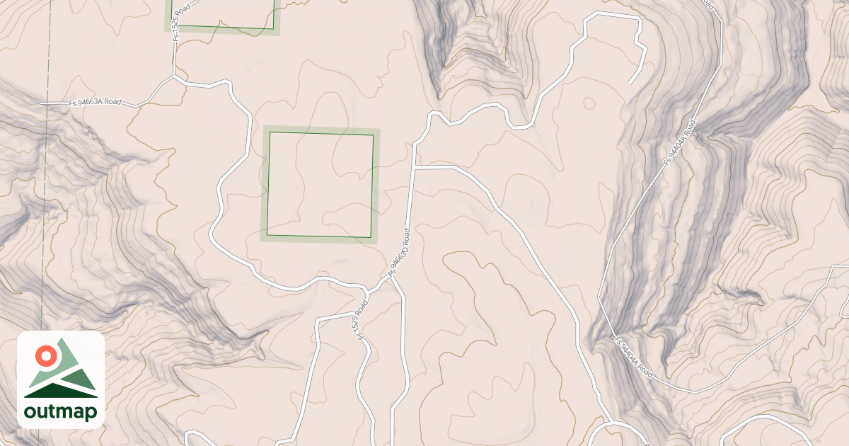 Map of USFS National Forest System Roads {6771303A-AD34-4566-981A-D94CF31CBF03}