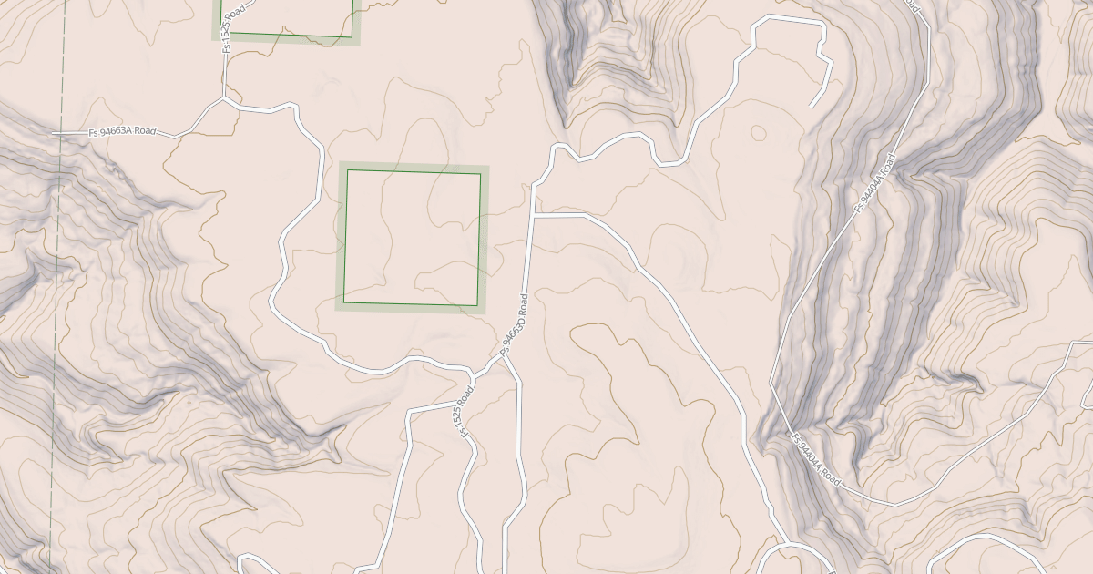 Map preview of USFS National Forest System Roads {6771303A-AD34-4566-981A-D94CF31CBF03}