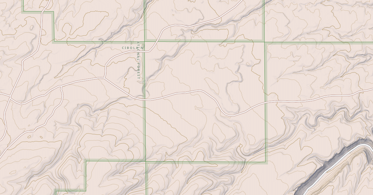 Map preview of USFS Motor Vehicle Use Map Roads {DF4D627E-9A77-4127-8101-852EC4D66108}