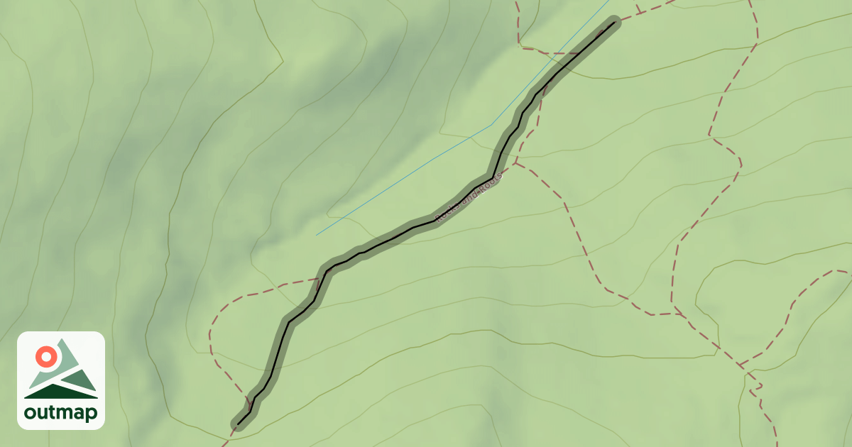 Map of Rocks and Roots