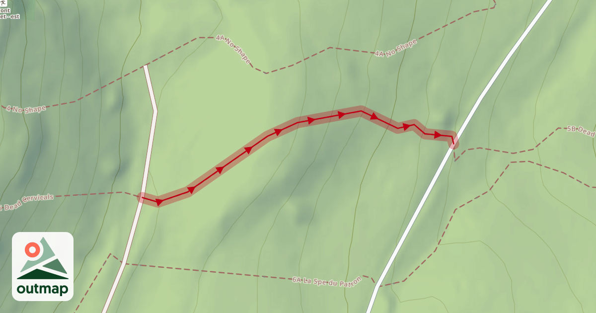 Map of 5A Dead Cervicals