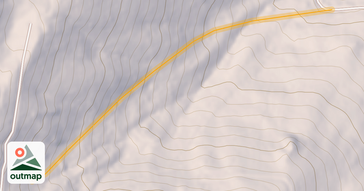Map of Big Tree