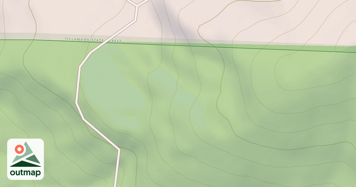 Map of Mutant Ferns
