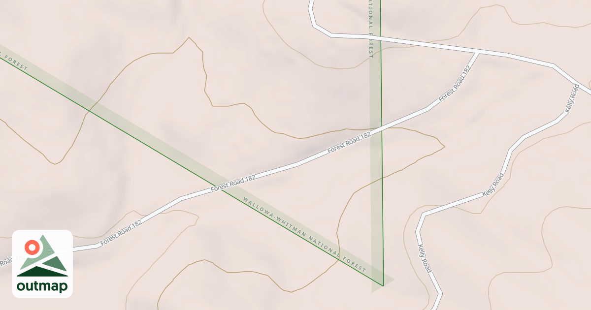 Map of USFS National Forest System Roads {2A54DF56-7EB2-4526-8E47-292136D5547E}