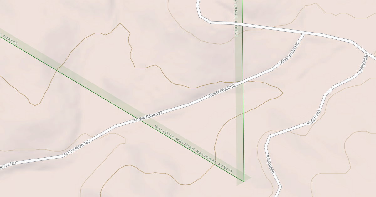 Map preview of USFS National Forest System Roads {2A54DF56-7EB2-4526-8E47-292136D5547E}