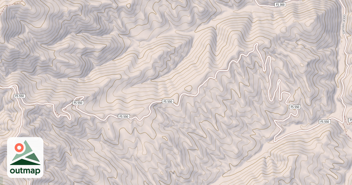 Map of DANSKIN #550
