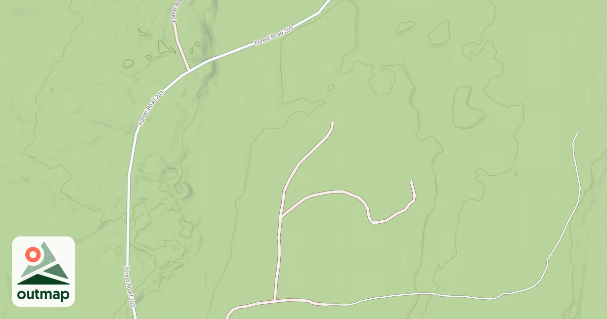 Map of FR 203C