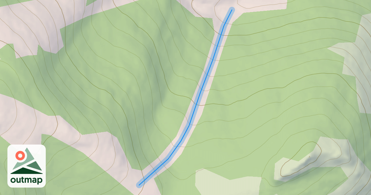Map of Shady