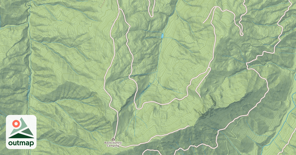 Map of USFS National Forest System Roads {C46AA597-D0BF-4067-B720-FA91A375754C}