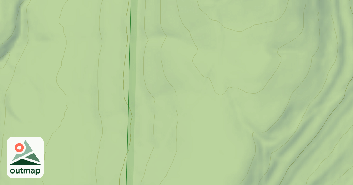 Map of USFS National Forest System Roads {F215D2C8-3E06-409A-8AC9-38ABECBF2D0B}