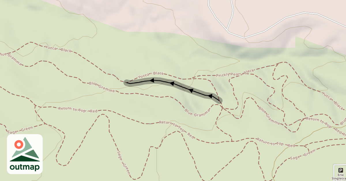 Map of Pincushion - Black