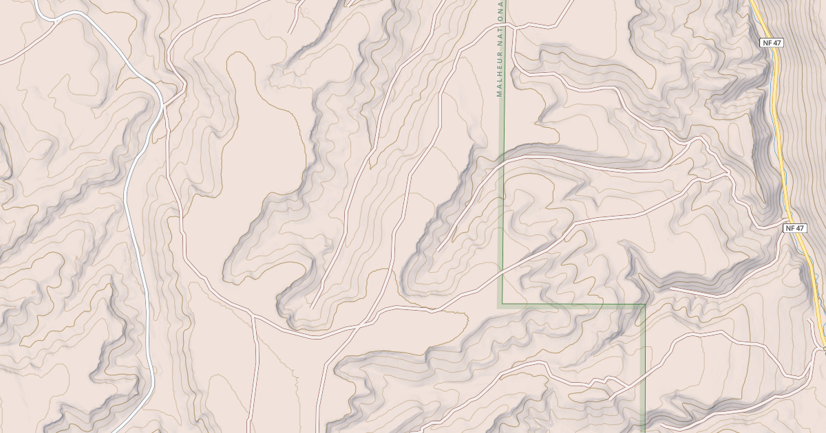 Map preview of USFS National Forest System Roads {36E6A0E5-58DA-4EAA-8553-97BFD9EC6D93}