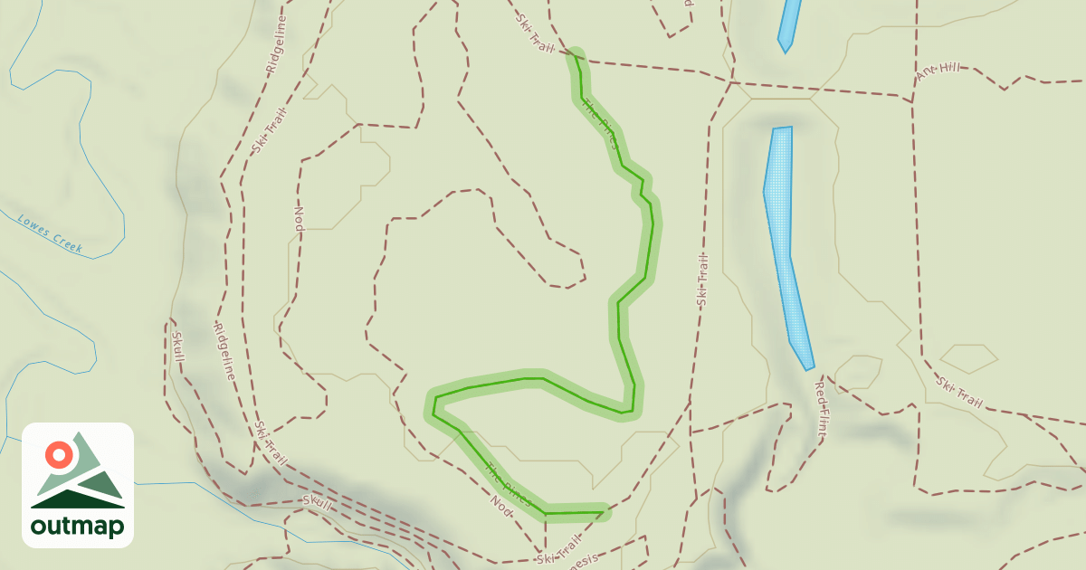Map of The Pines