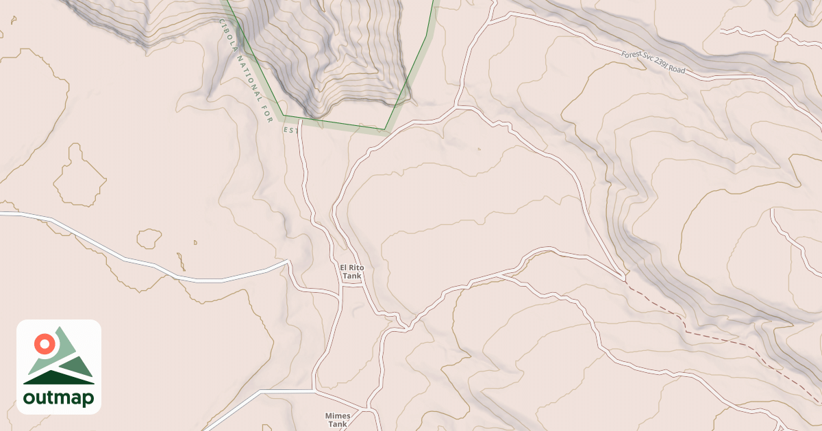 Map of USFS National Forest System Roads {B4C2BB46-D158-40D0-8BD2-3C147307E8A2}