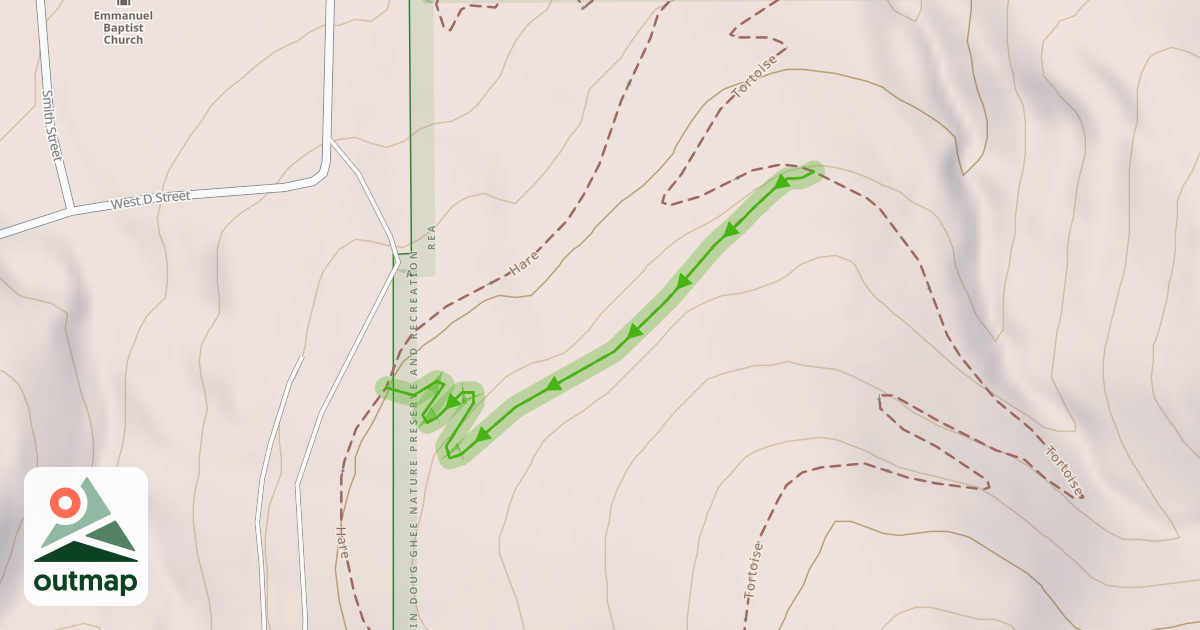 Map of Bunny