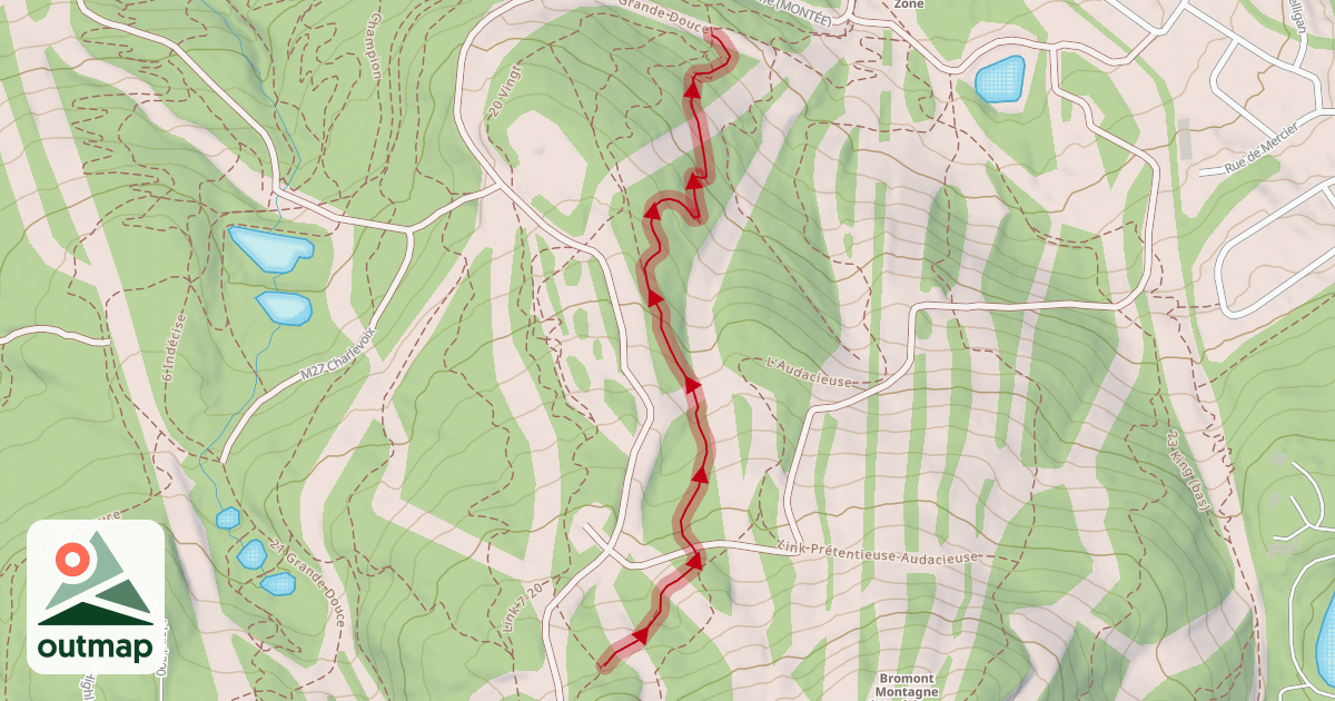 Map of 19 Next Level