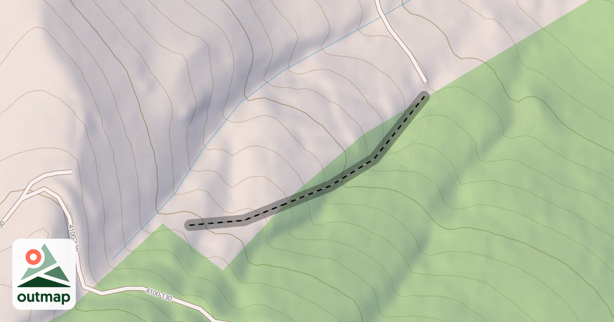 Map of Walter's Woods